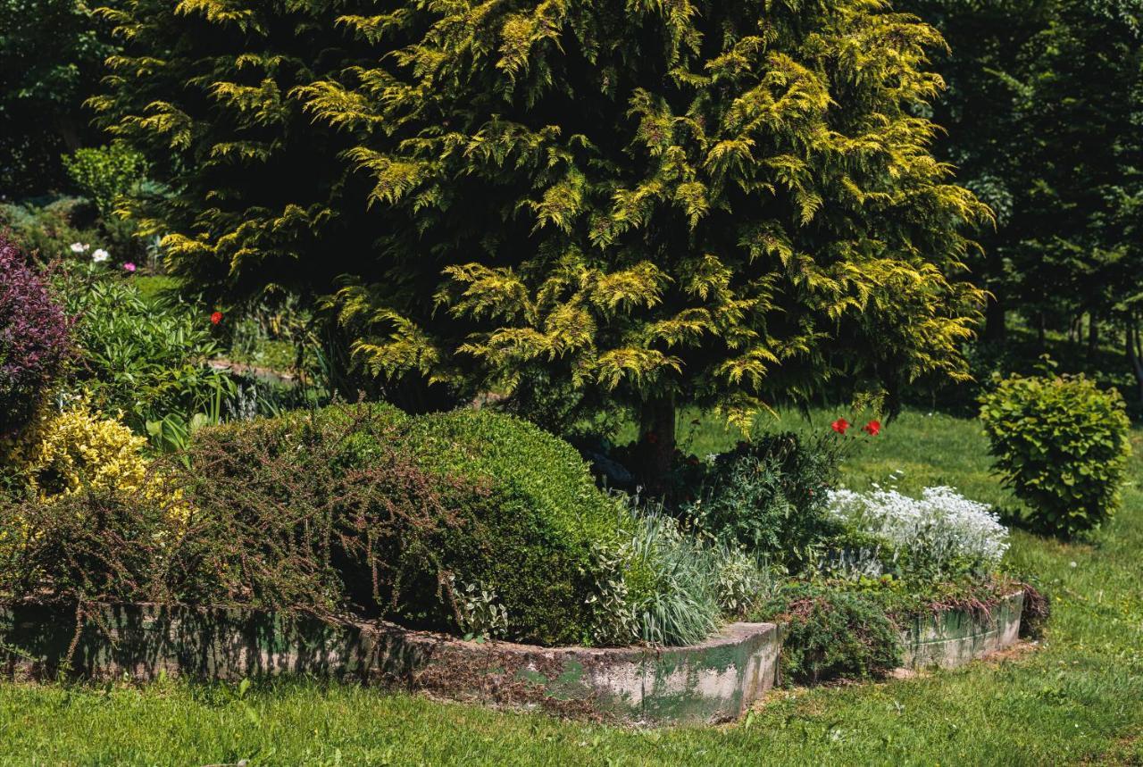 Rajski Vrt - Lake House - Paradise Garden Sisak Exterior foto